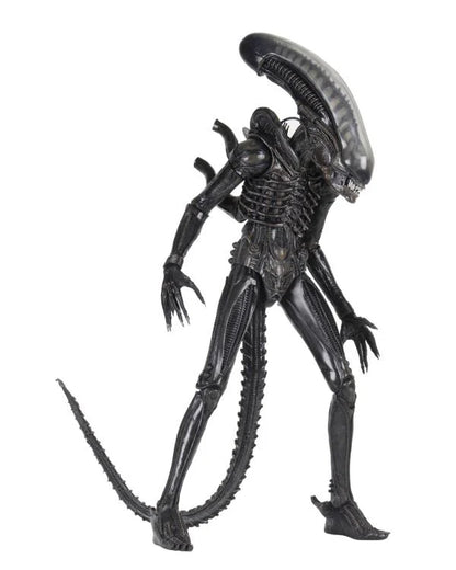 Vista superior fondo blanco de Figura NECA Deluxe Alien Big Chap