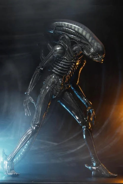 Vista frontal de Figura NECA Deluxe Alien Big Chap