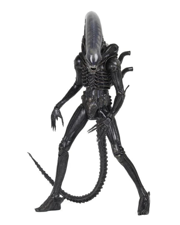 Primer plano fondo blanco de Figura NECA Deluxe Alien Big Chap