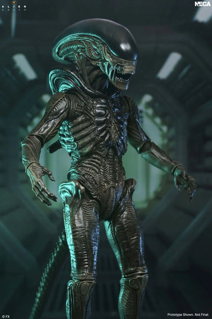 Alien: Earth Ultimate Xenomorph Action Figure