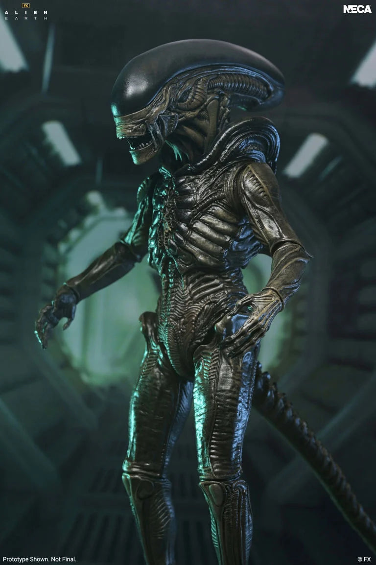 Alien: Earth Ultimate Xenomorph Action Figure