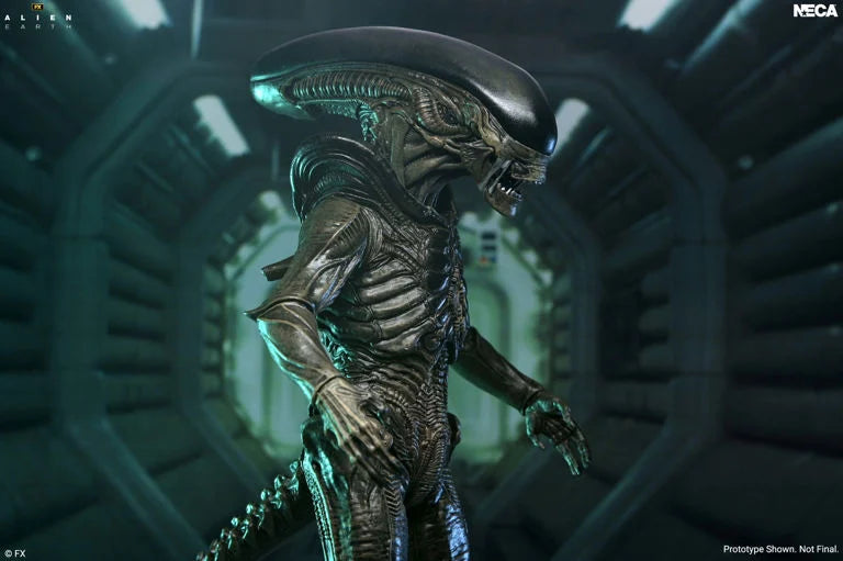 Alien: Earth Ultimate Xenomorph Action Figure