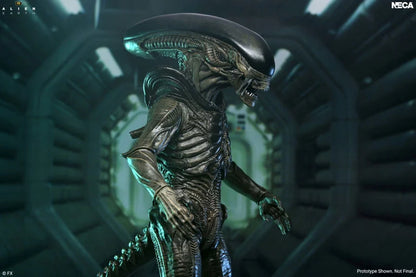 Alien: Earth Ultimate Xenomorph Action Figure