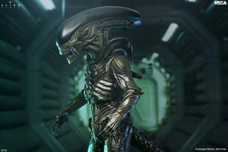 Alien: Earth Ultimate Xenomorph Action Figure