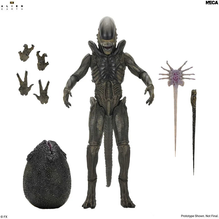 Alien: Earth Ultimate Xenomorph Action Figure