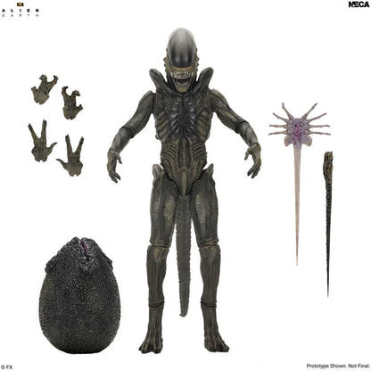 Alien: Earth Ultimate Xenomorph Action Figure