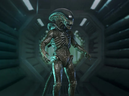 Alien: Earth Ultimate Xenomorph Action Figure