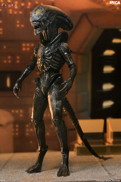 Alien: Earth Ultimate Wendy's Xenomorph Action Figure