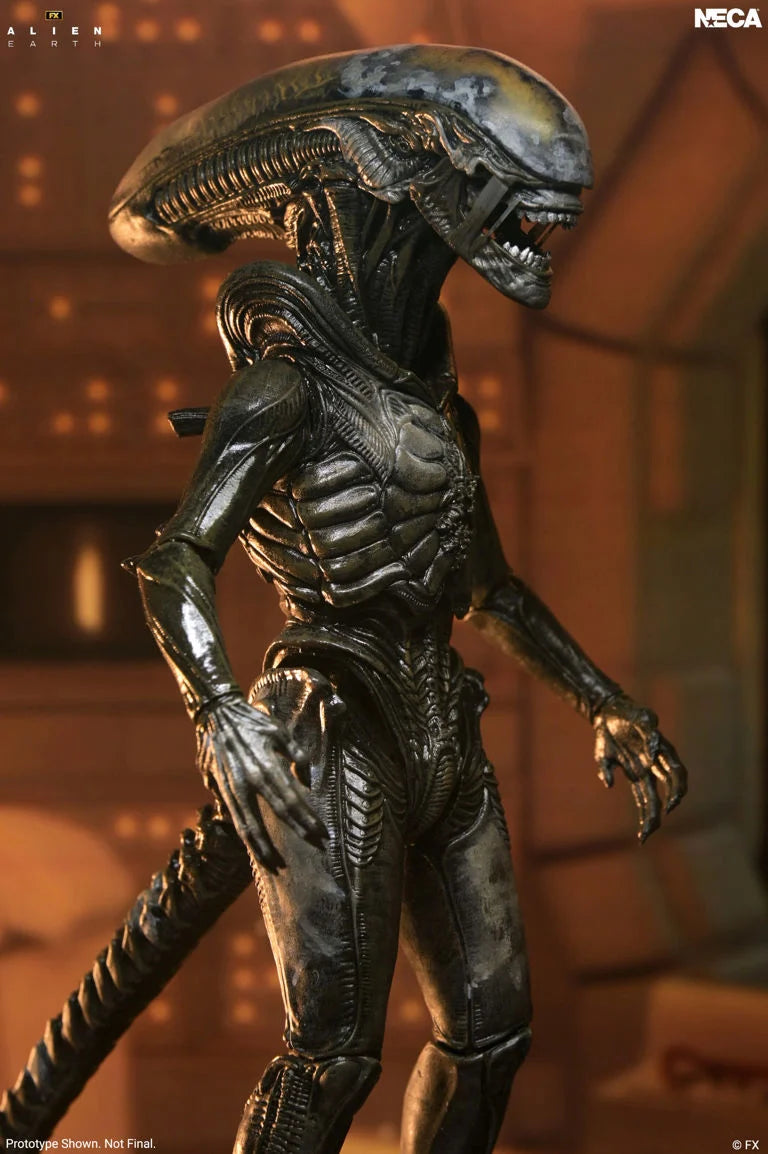 Alien: Earth Ultimate Wendy's Xenomorph Action Figure