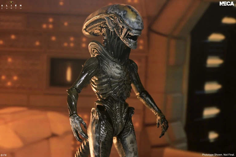 Alien: Earth Ultimate Wendy's Xenomorph Action Figure