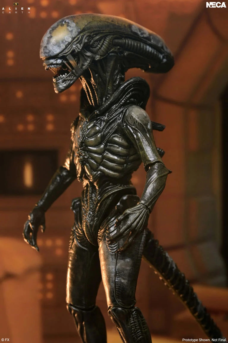 Alien: Earth Ultimate Wendy's Xenomorph Action Figure