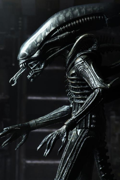 Alien Ultimate 40th Anniversary Big Chap Figura Neca