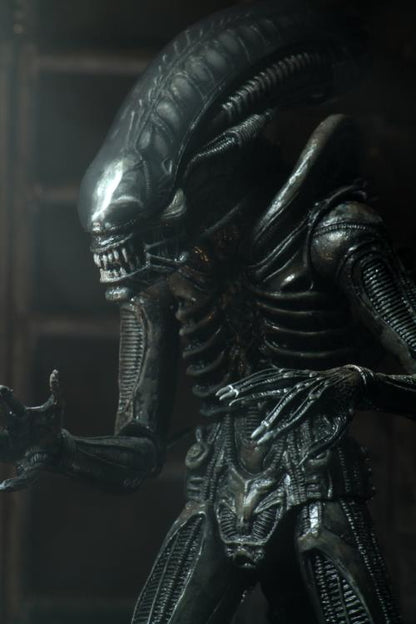Alien Ultimate 40th Anniversary Big Chap Figura Neca