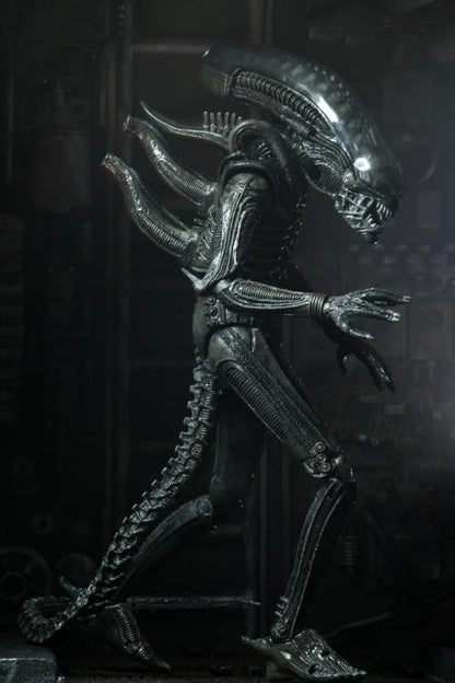 Alien Ultimate 40th Anniversary Big Chap Figura Neca