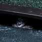 It (2017) Accesorios deluxe Neca