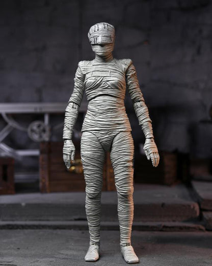 Universal Monsters Ultimate Bride of Frankenstein (Color) Action Figura
